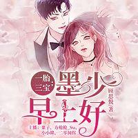 一胎三宝：墨少早上好有声小说