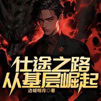 仕途之路:从基层崛起有声小说