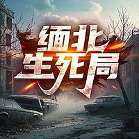 缅北生死局有声小说