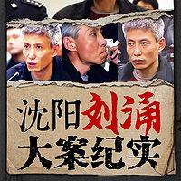 沈阳刘涌打黑纪实全集有声小说