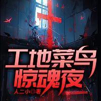 工地菜鸟惊魂夜有声小说