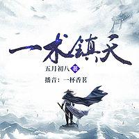 一术镇天有声小说