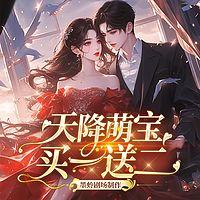 天降萌宝买二送一有声小说