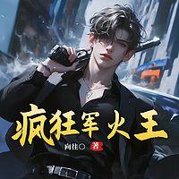 疯狂军火王有声小说