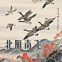 北雁南飞